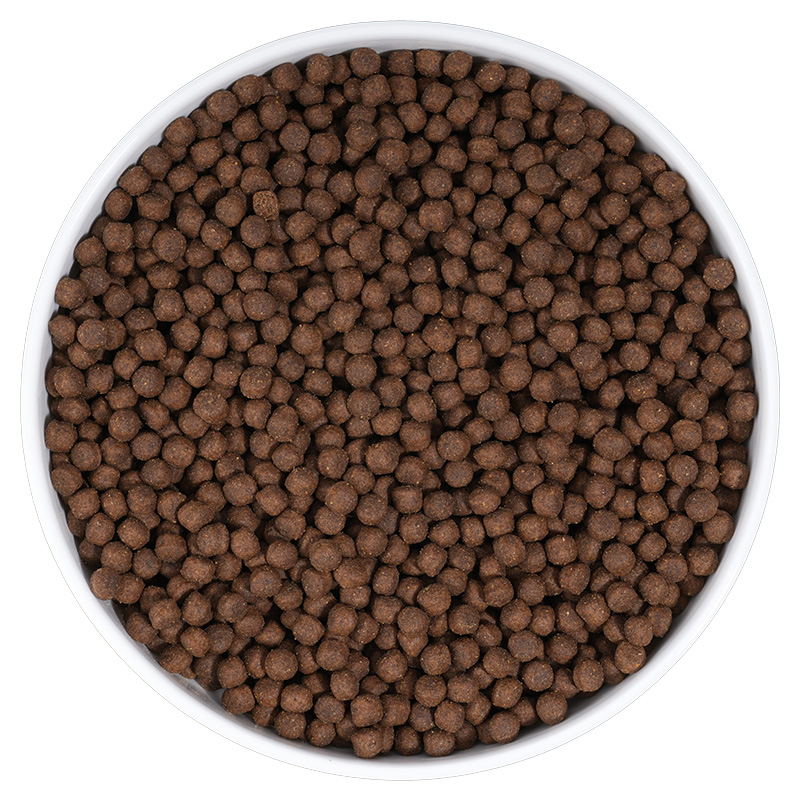 High protein formula for adult dogs 2