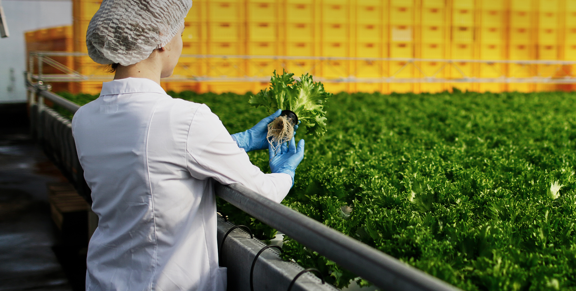 从源头到碗头图 2